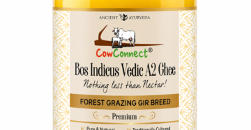CowConnect Bos Indicus Premium Vedic A2 Ghee(Gir Variant)-1000ML