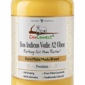 CowConnect Bos Indicus Premium Vedic A2 Ghee(Malai Madu Variant)-1000ML